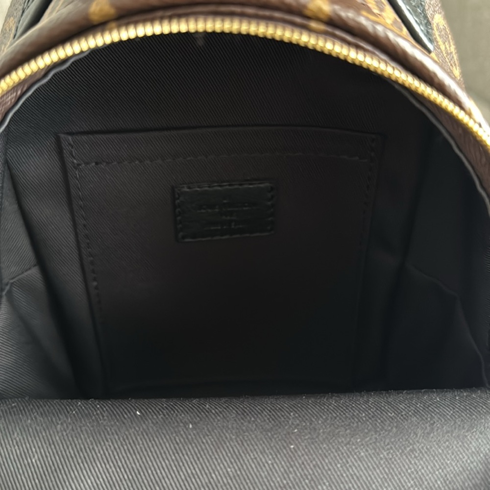 Louis Vuitton Palm Springs Mini Backpack - Picture 8 of 11